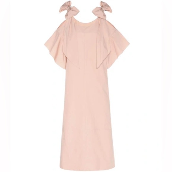 NWT CHLOÉ Ribbon Sleeve Shift Dress – Dusty Pink –
Runway Collection - Picture 6 of 6